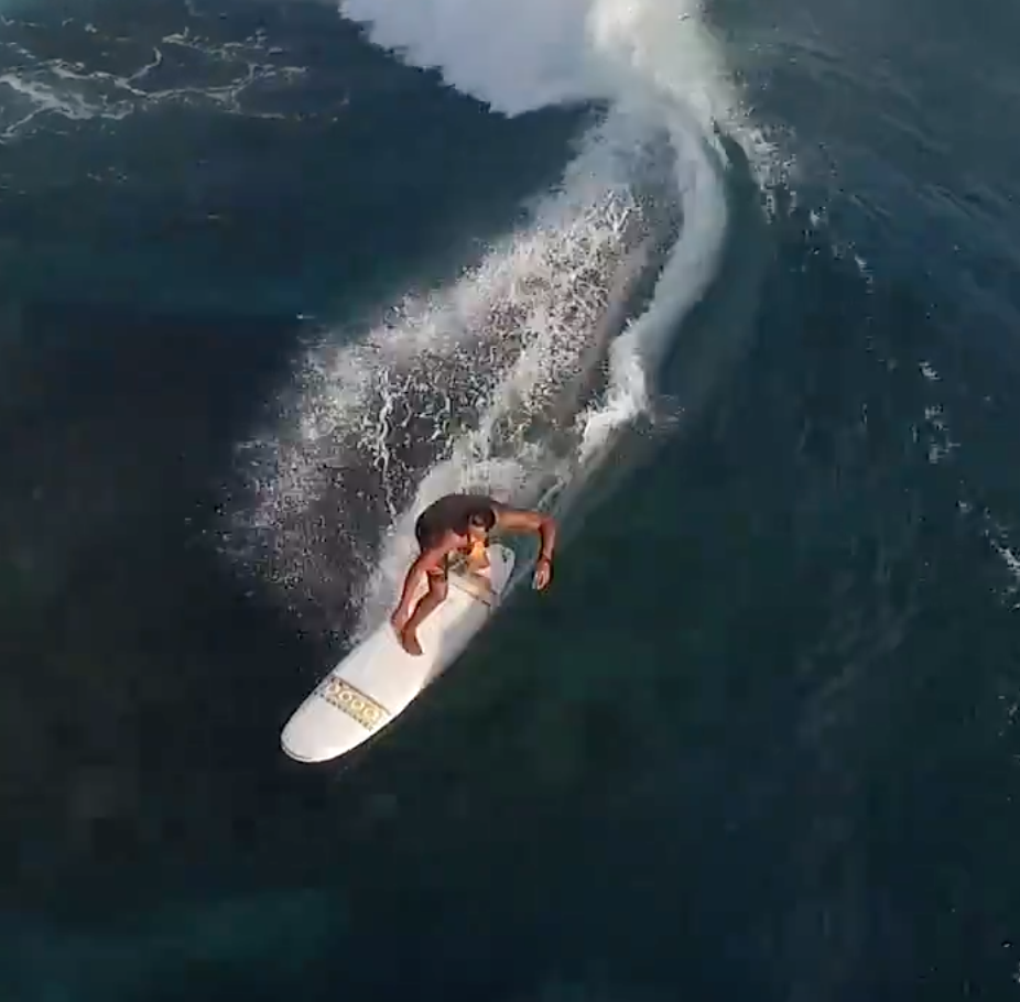 BIC Surf - Progress collection