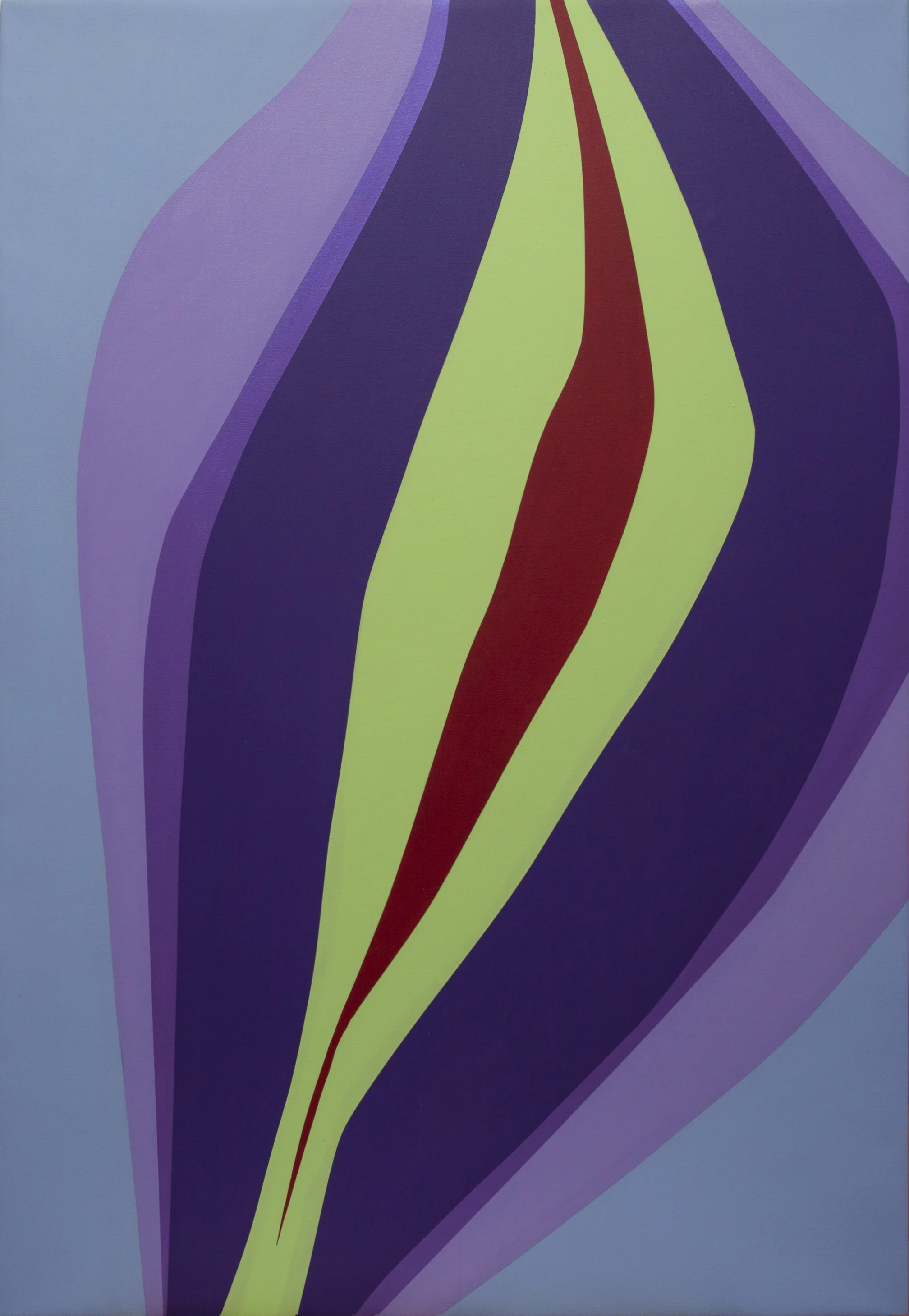 warped canvas 3.jpg