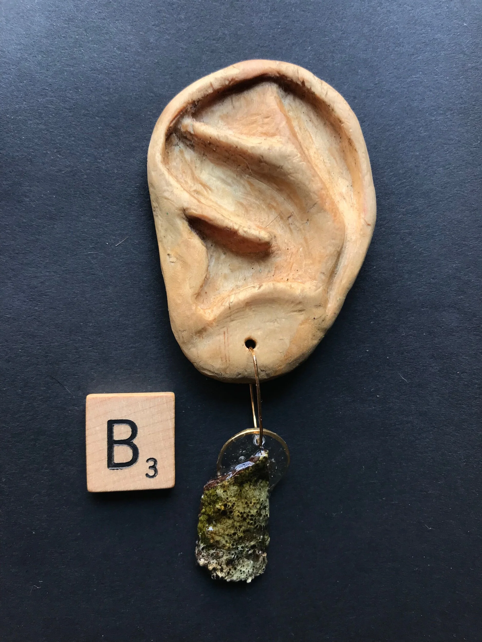 72CBDDB6-2BA2-4553-A0FE-DFAAFEC6FC23