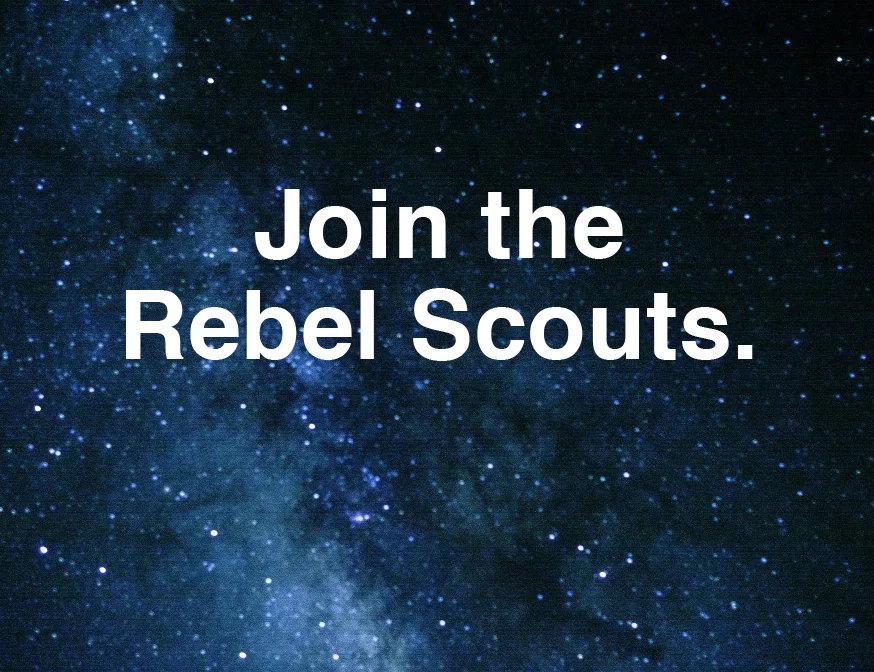 NEWSCOUT.jpg
