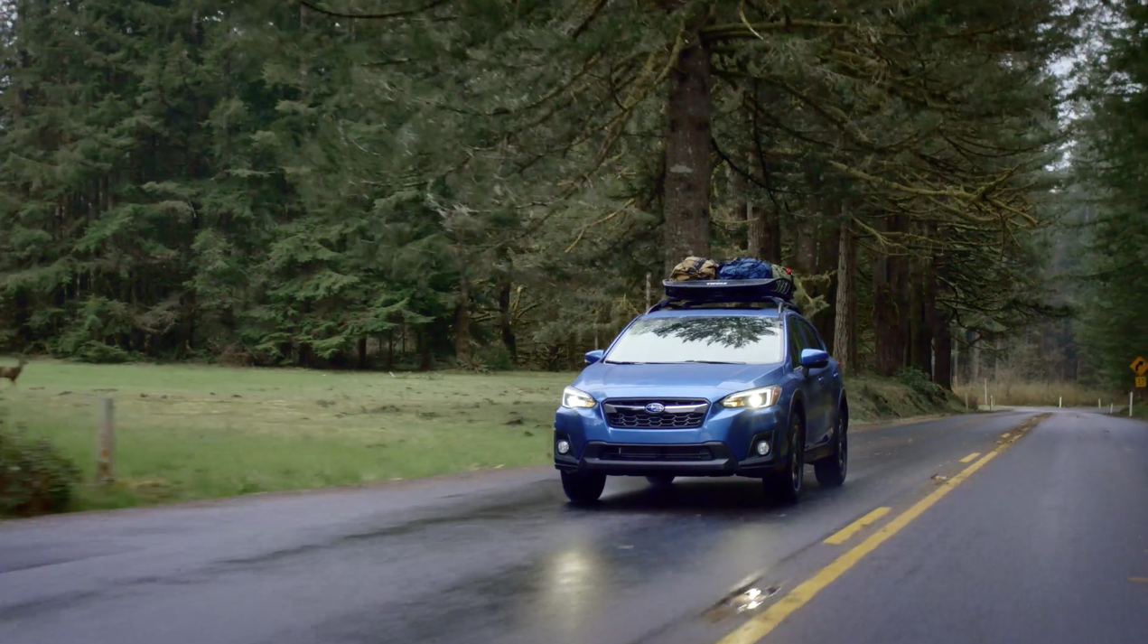 Subaru Crosstrek Spotlight - Puppy Love