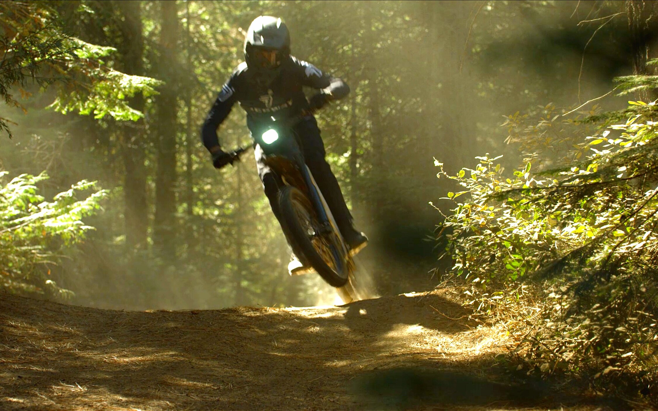 Segway - Forest From the Trees