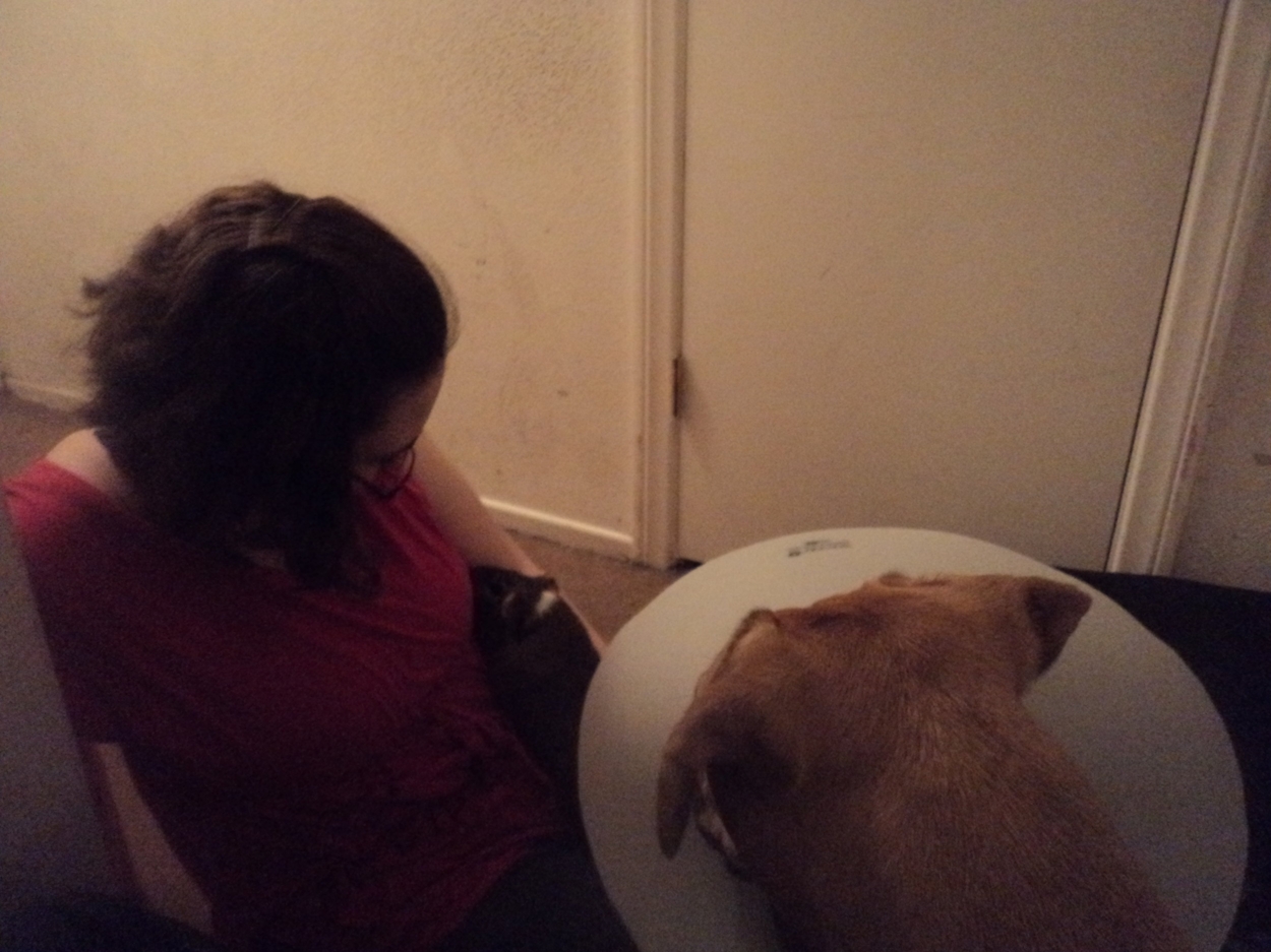 Photo Credit: May Enos May and her pets