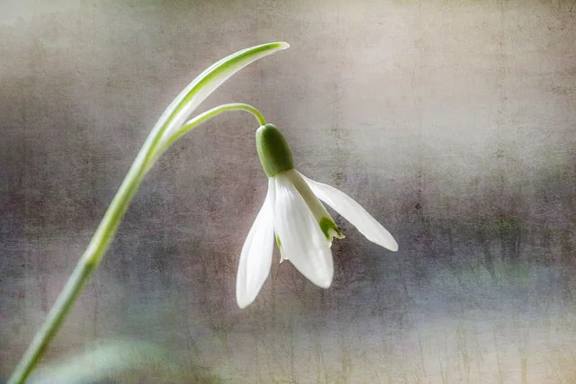 Photo Credit: Hope by Lynne Williams Flickr.com