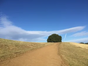 TAKING A MENTAL HEALTH BREAK by Dede Ranahan — Sooner Than Tomorrow