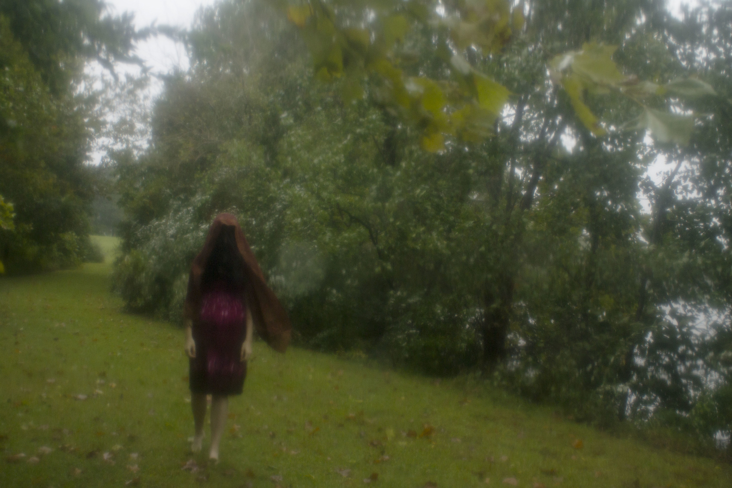 Stalking The Muggy Wetlands