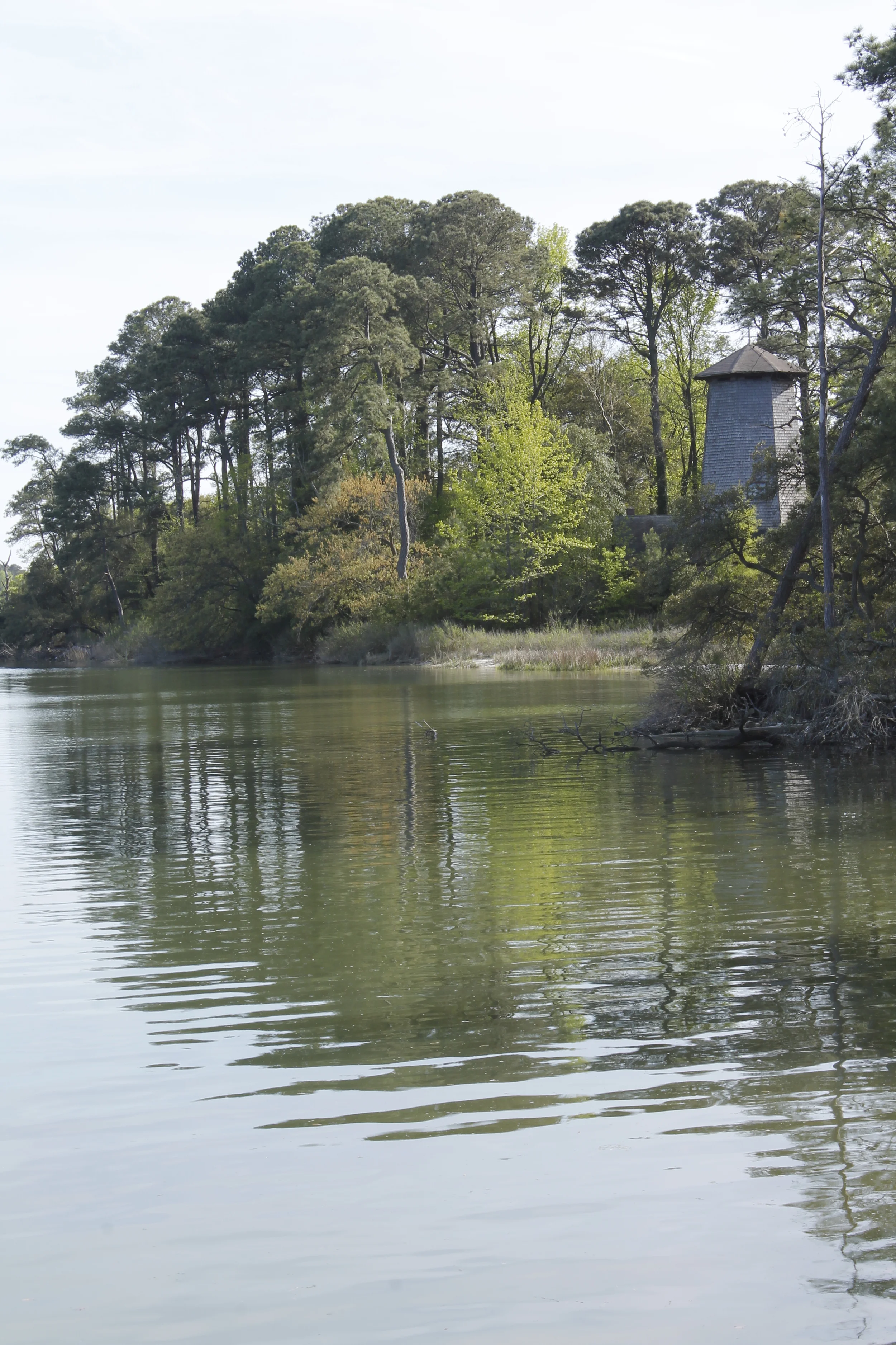 Caro's Second Walk The Line Destination