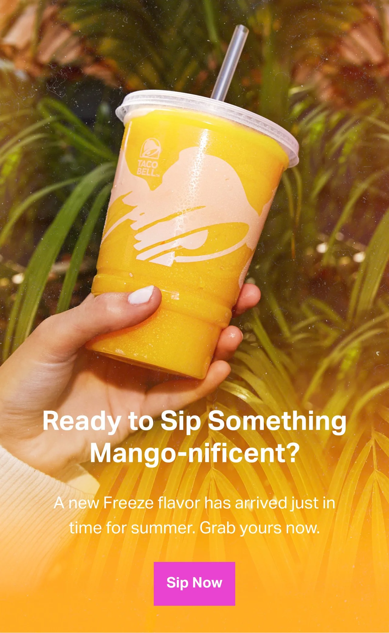 mangonificent.jpg