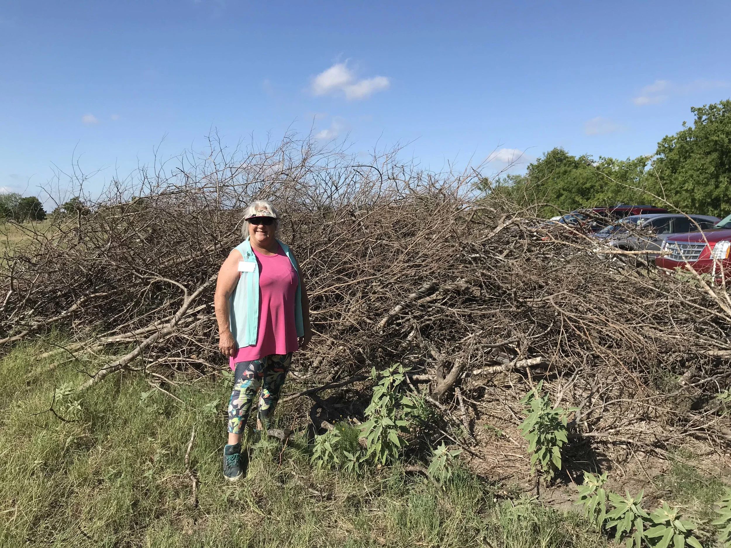 A garden club member was impressed by our intentional brush piles for wildlife habitat, because everyone loves a home for bunnies! (photo by Heather White)