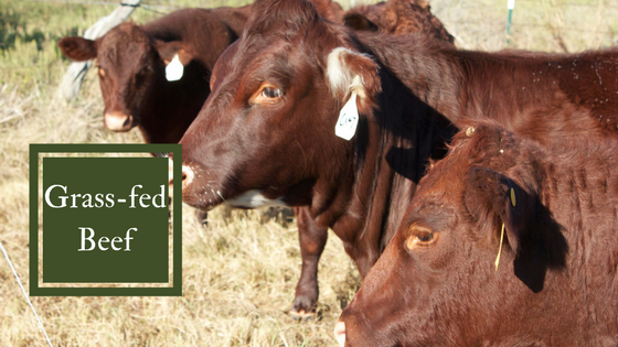 Grass-fedBeef.png