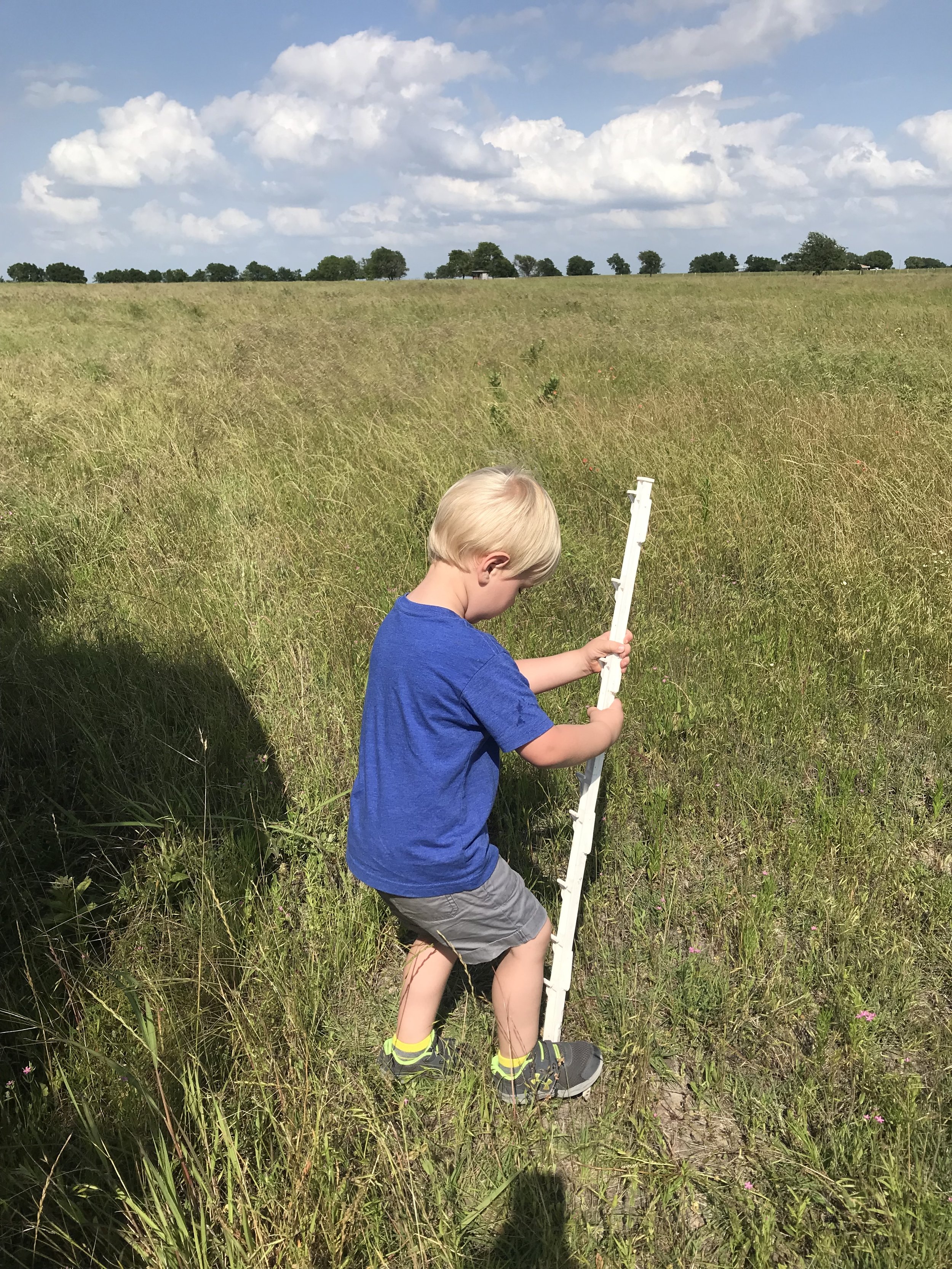 setting up electric fence.jpg