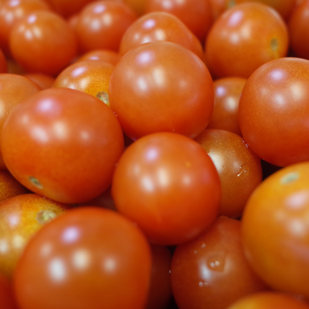 tomatoes.png
