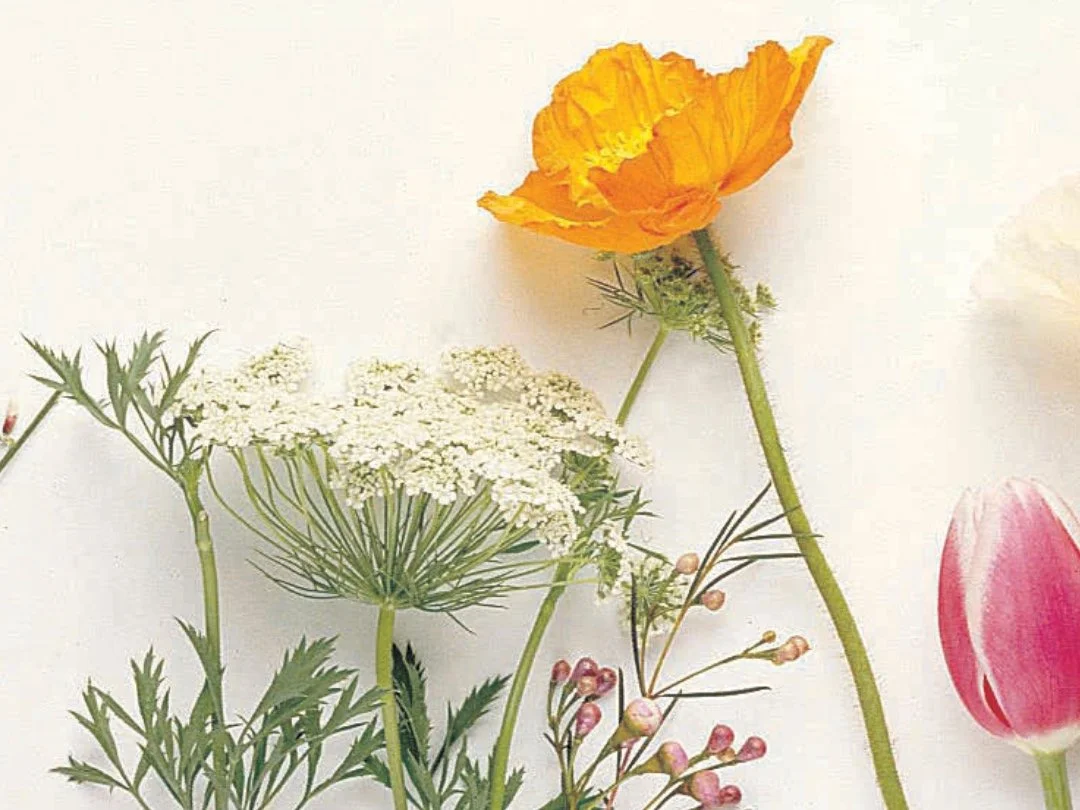 BLOOM: Mother and Daughter Connection Circle