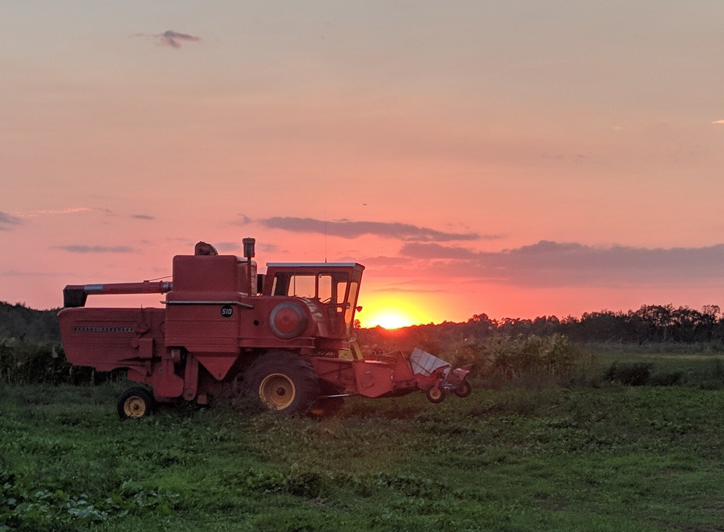 sunset_combine.jpg