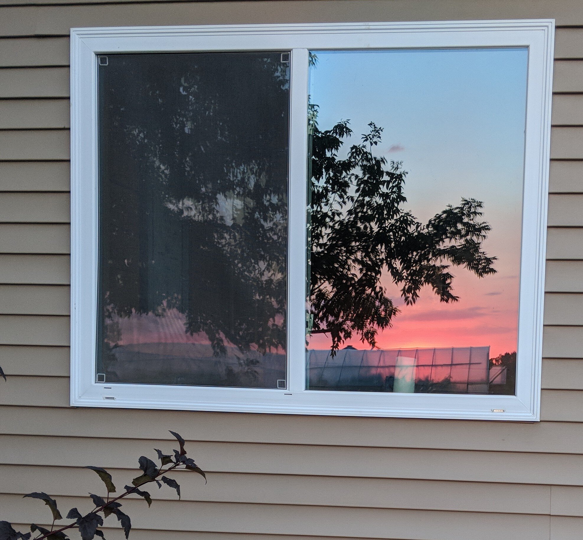sunset_windowreflection2.jpg