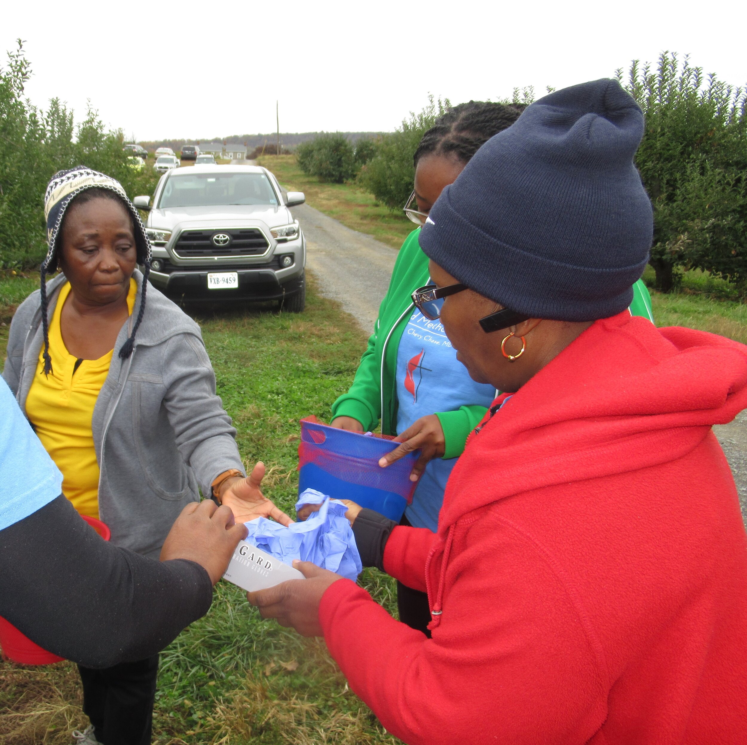 St. Paul UMC Gleaning Oct. 26, 2019 (8).JPG