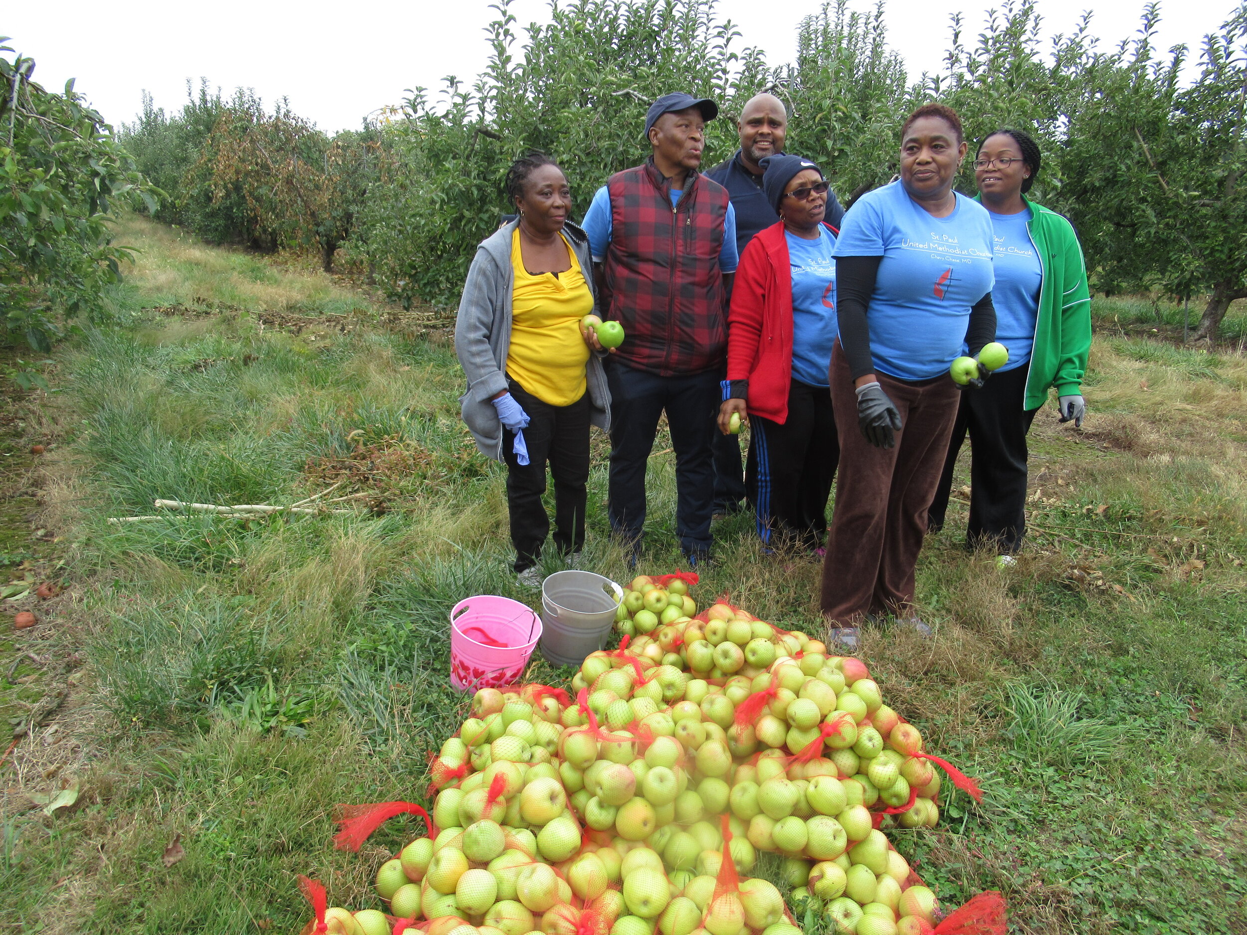 St. Paul UMC Gleaning Oct. 26, 2019 (31).JPG