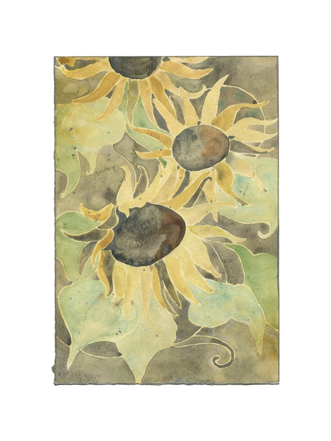 sunflower5listing.jpg