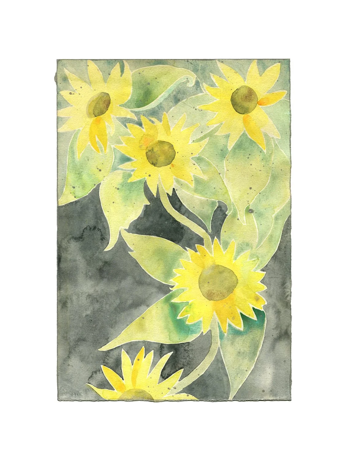 sunflower9listing.jpg