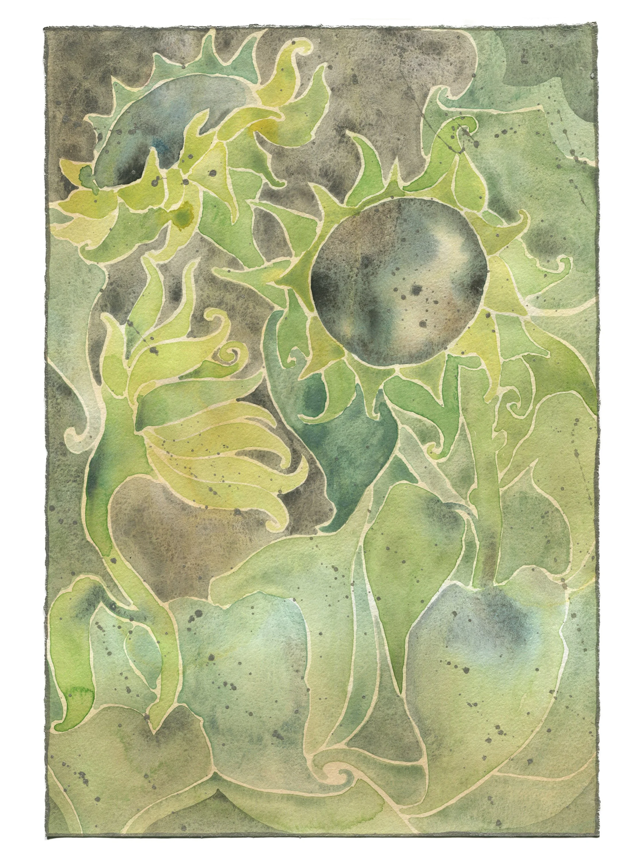 sunflower1.jpg