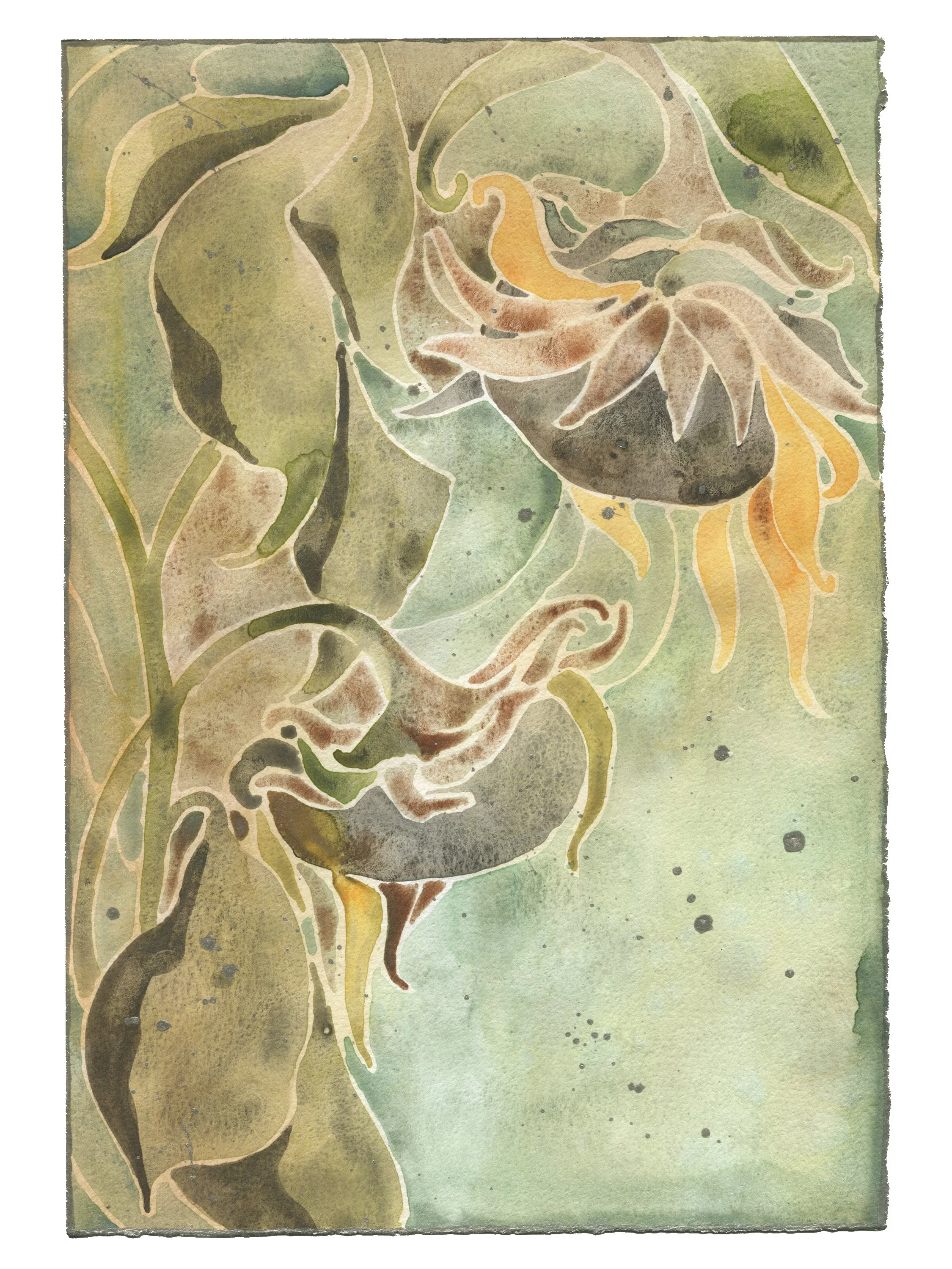 sunflower3.jpg