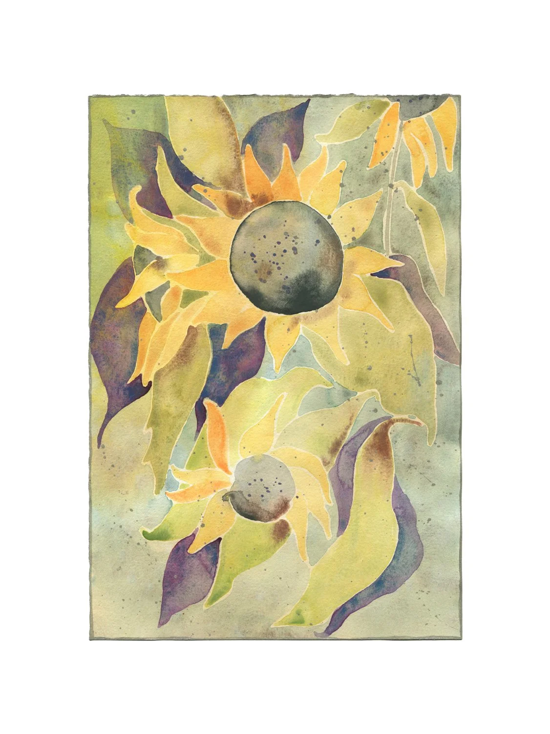 sunflower8listing.jpg
