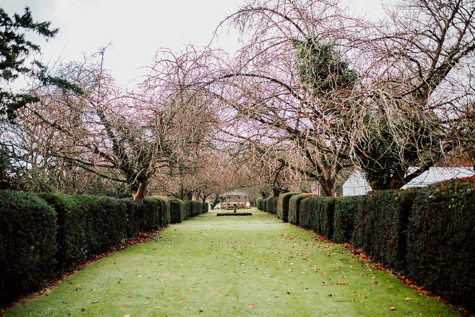 The gardens of Hazlewood castle