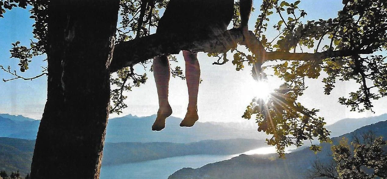 Yoga, in the fullest sense of its practice, brings us to a place of peace, love and freedom