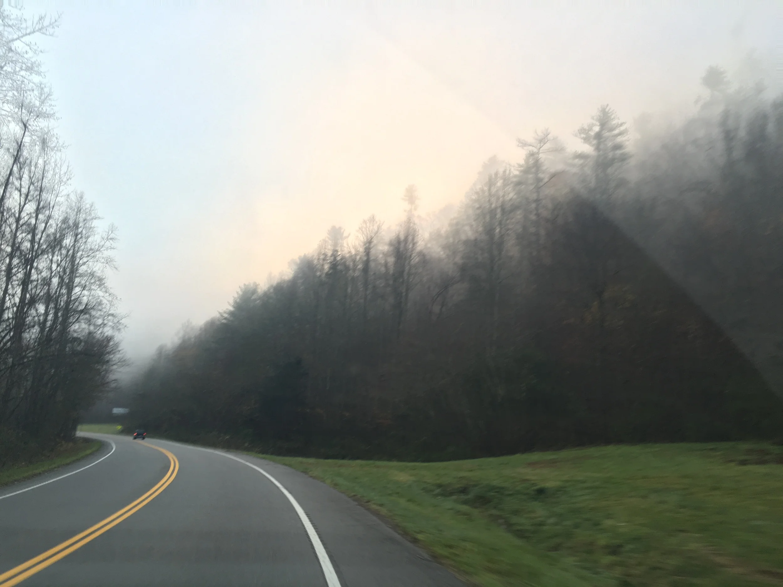 A Word from the Wise