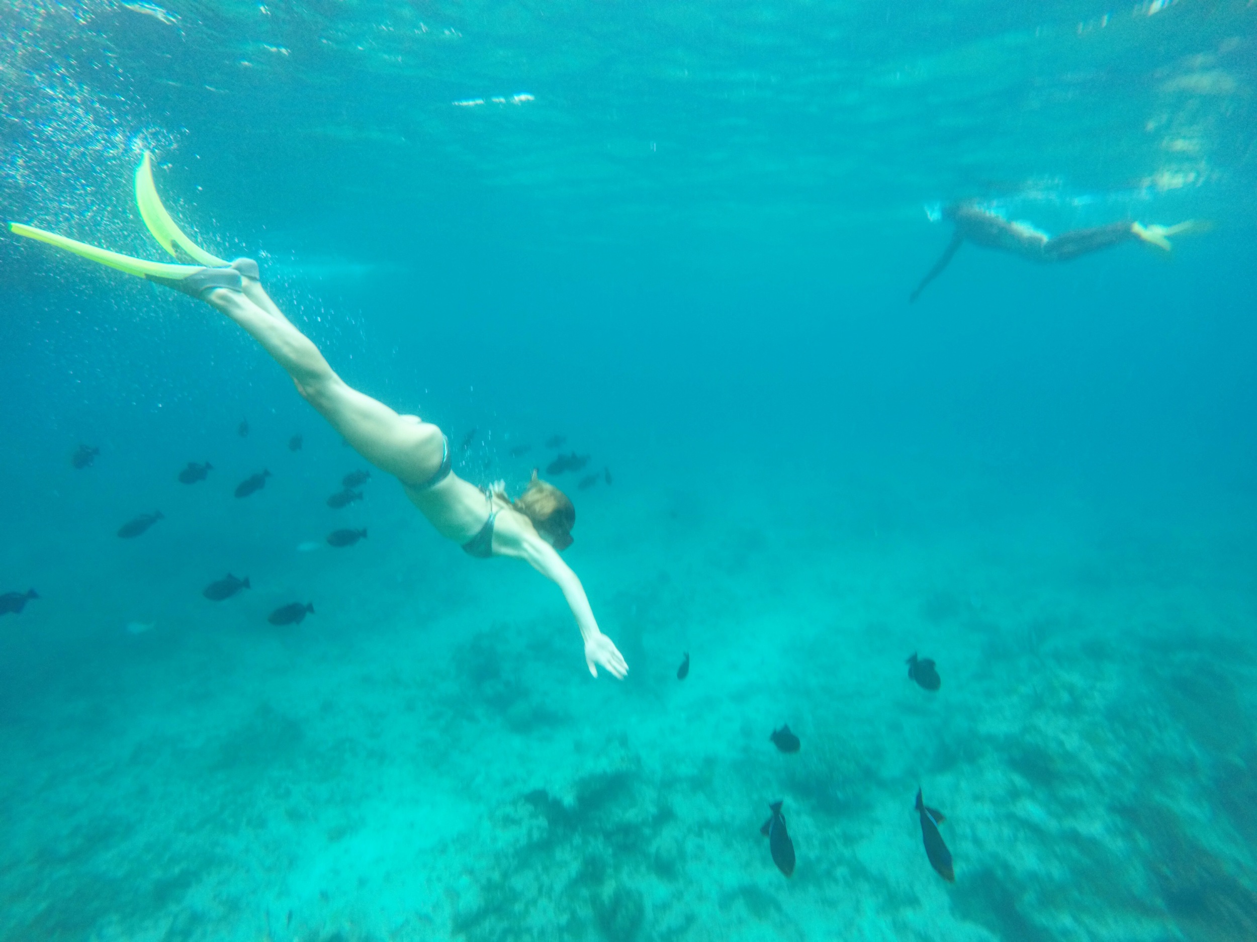 Top 3 things you MUST do in Providenciales