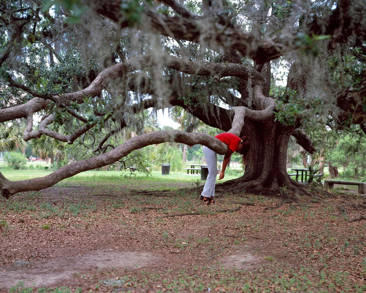 20_Giving-Tree-2012.jpg