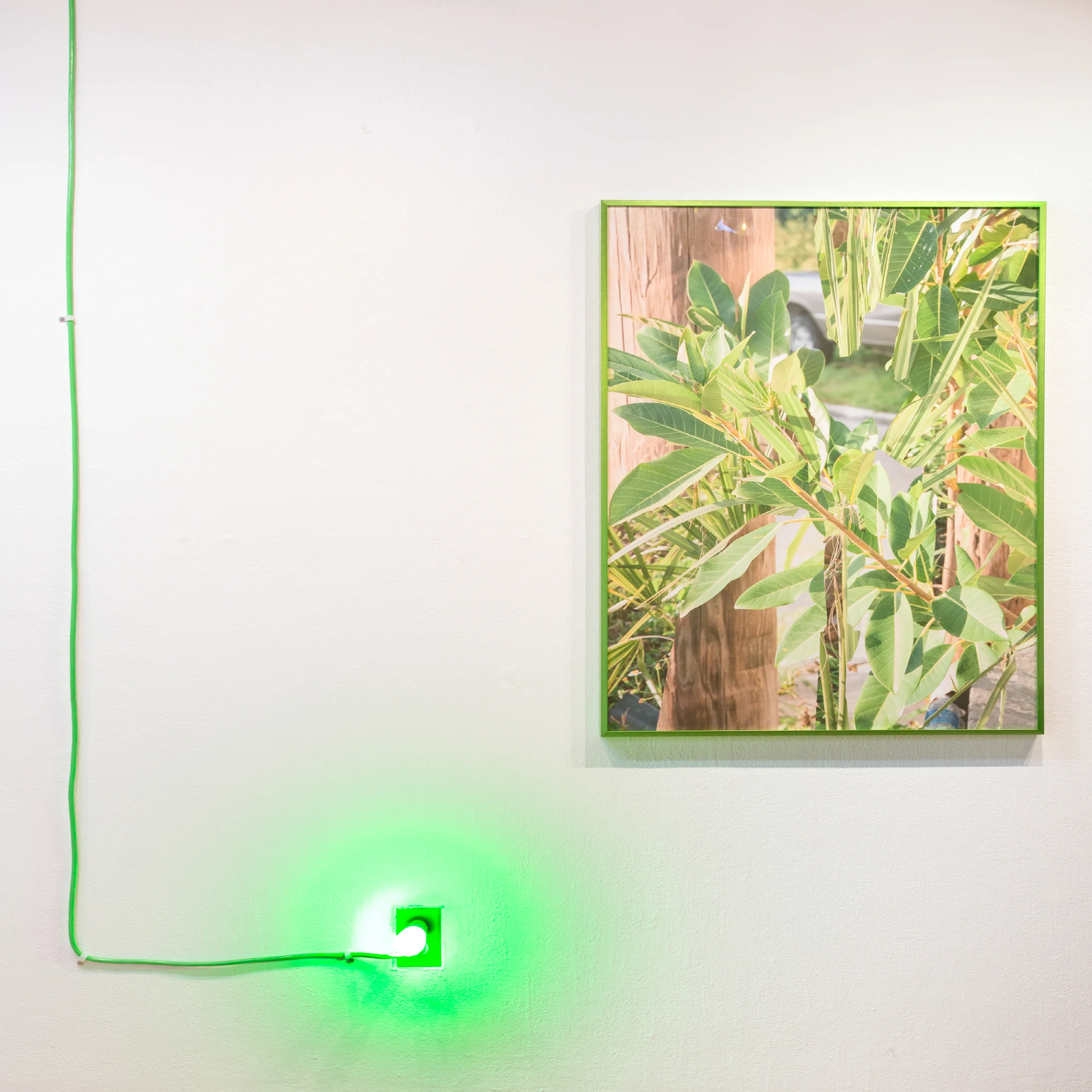 LEVELS - Jackson Hallberg-13.jpg