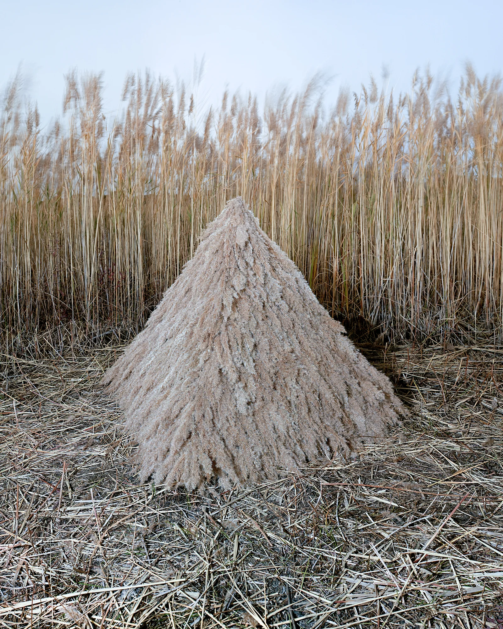 2_Culitvation Eperiment_archive.jpg