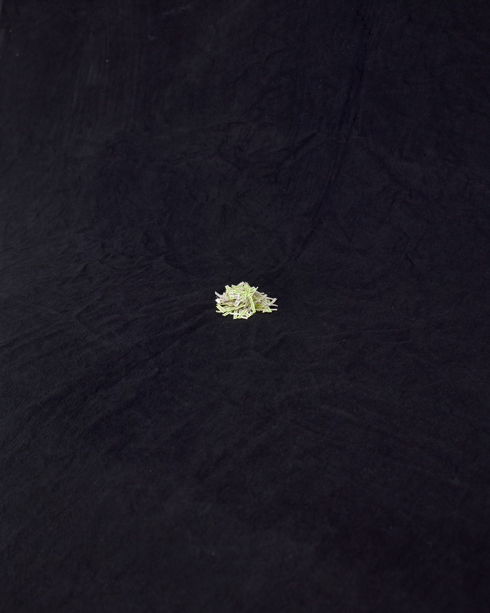 1_293 Times Removed_archive.jpg