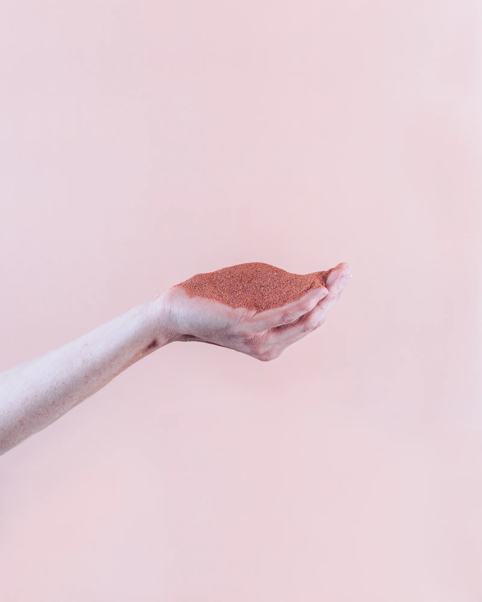 12_Now Just 19.99_archival.jpg