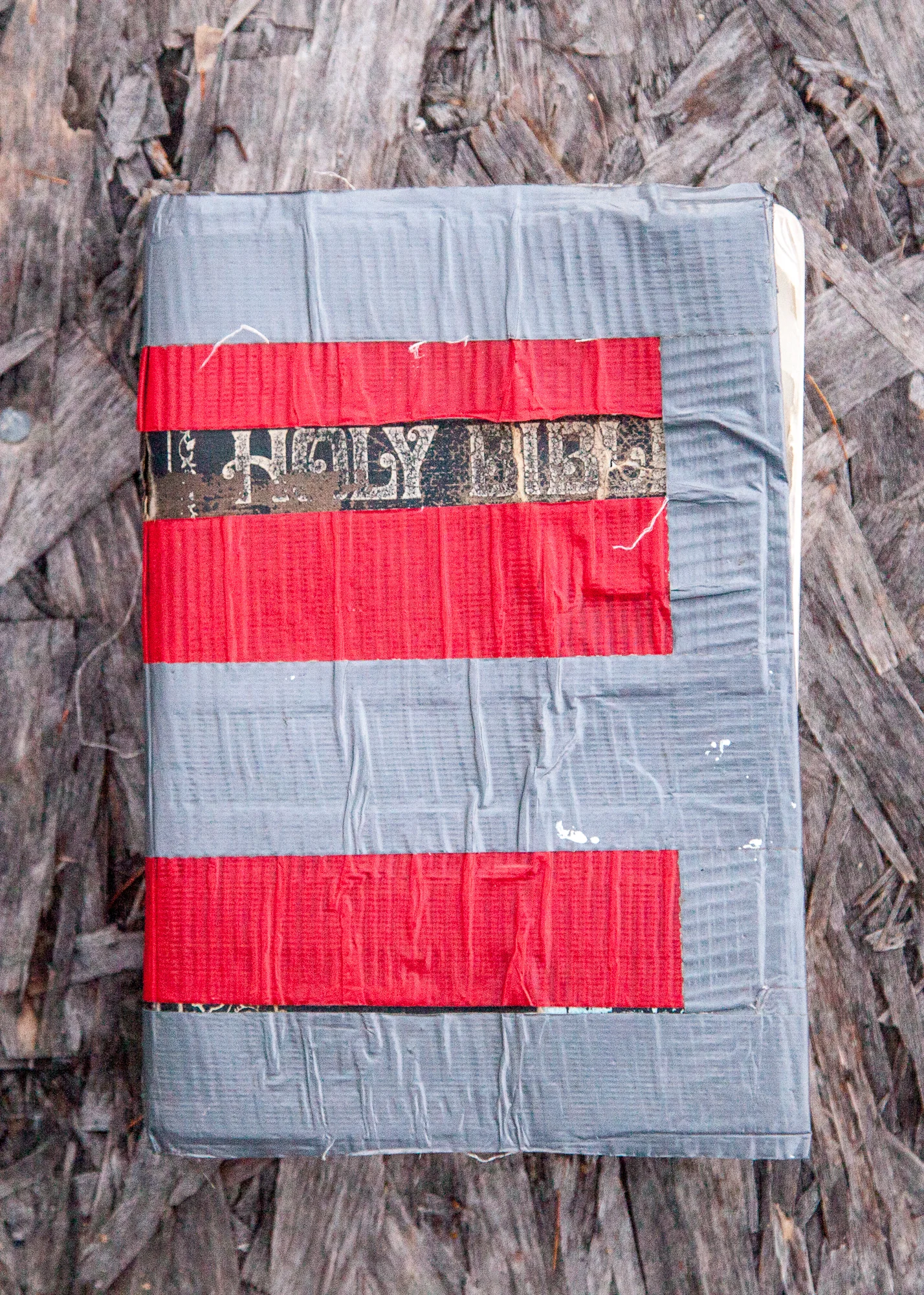 Thalassa_Raasch_11_Rim Road.jpg