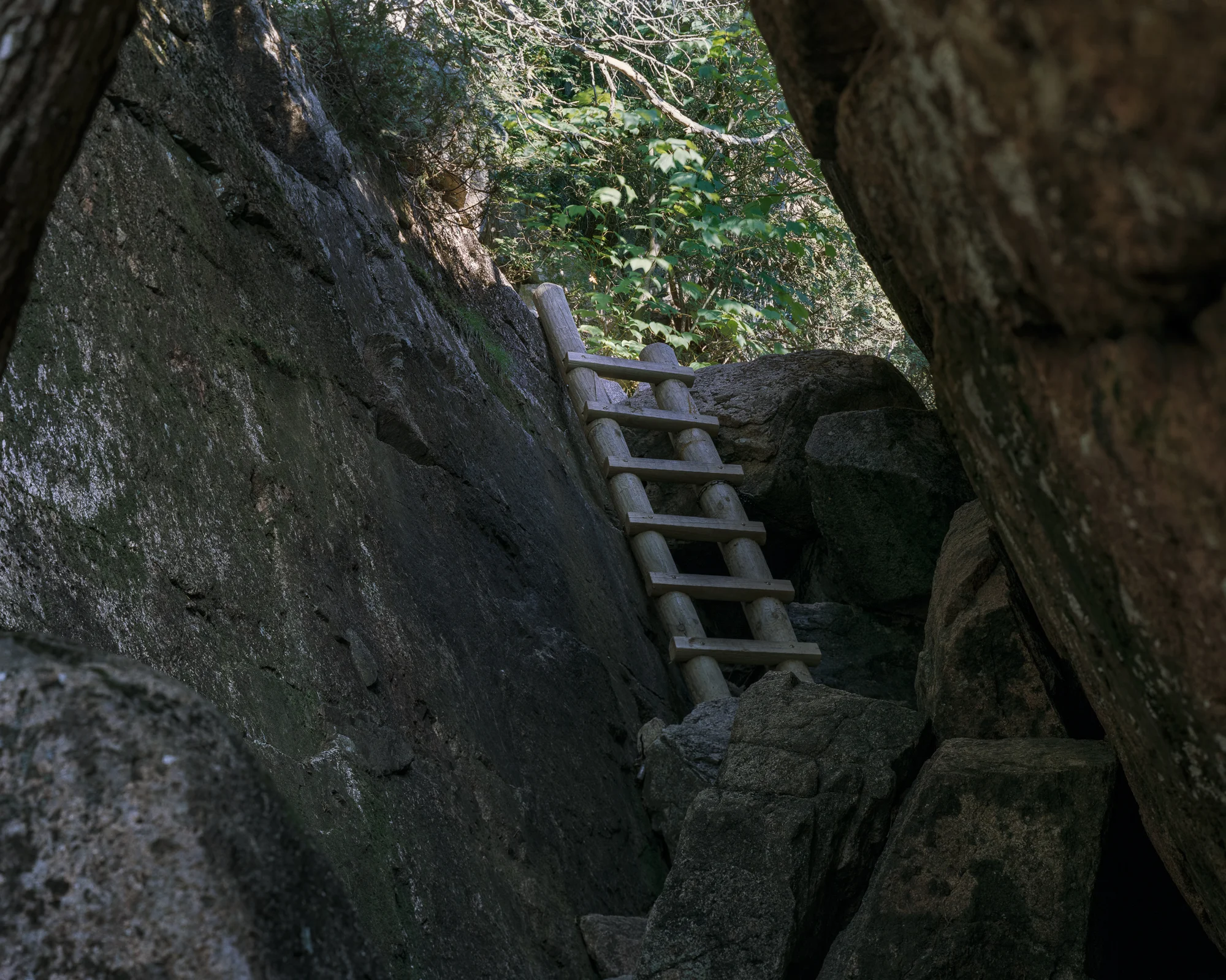 Thalassa_Raasch_10_Rim Road.jpg