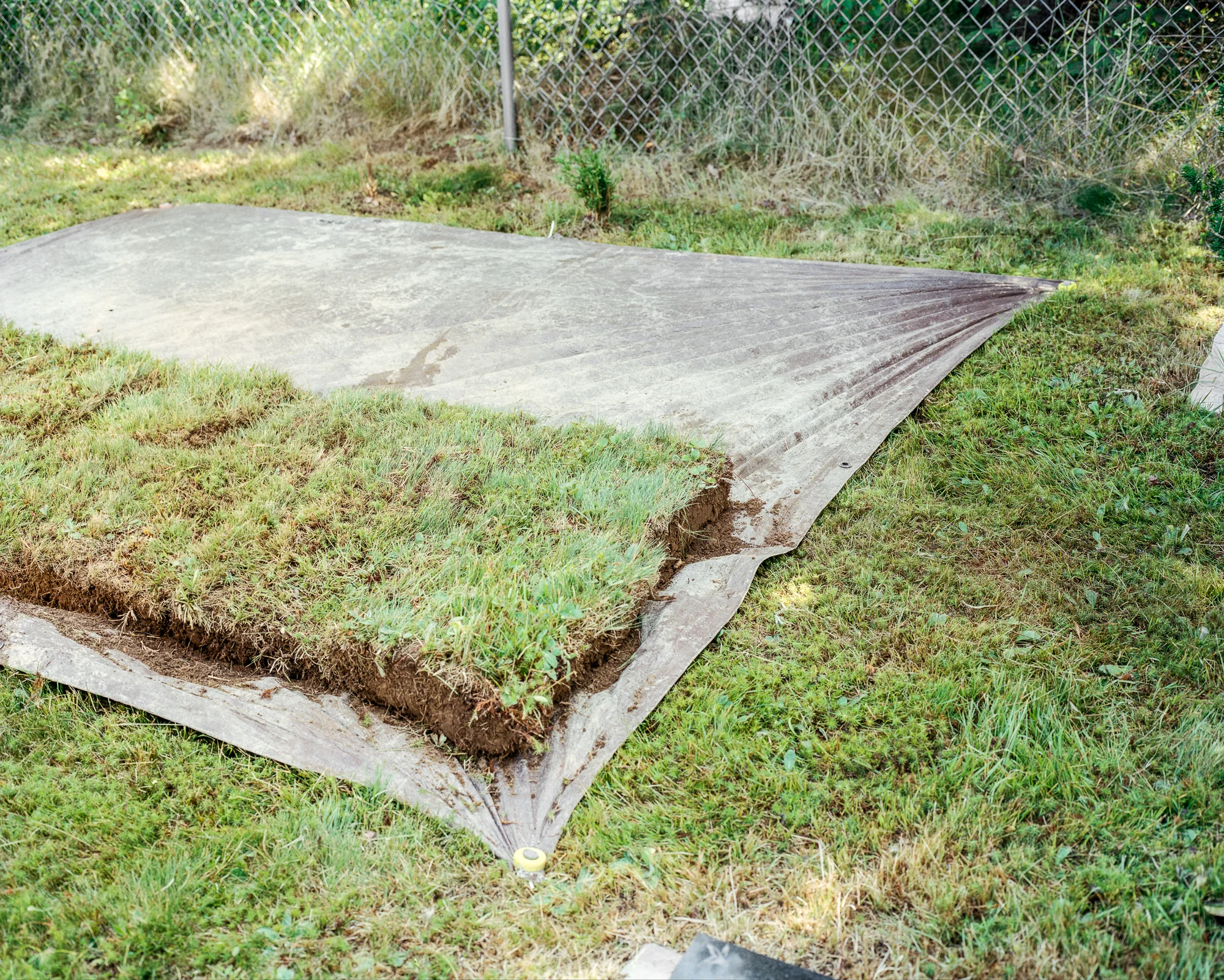 Thalassa Raasch_01_Rim Road.jpg