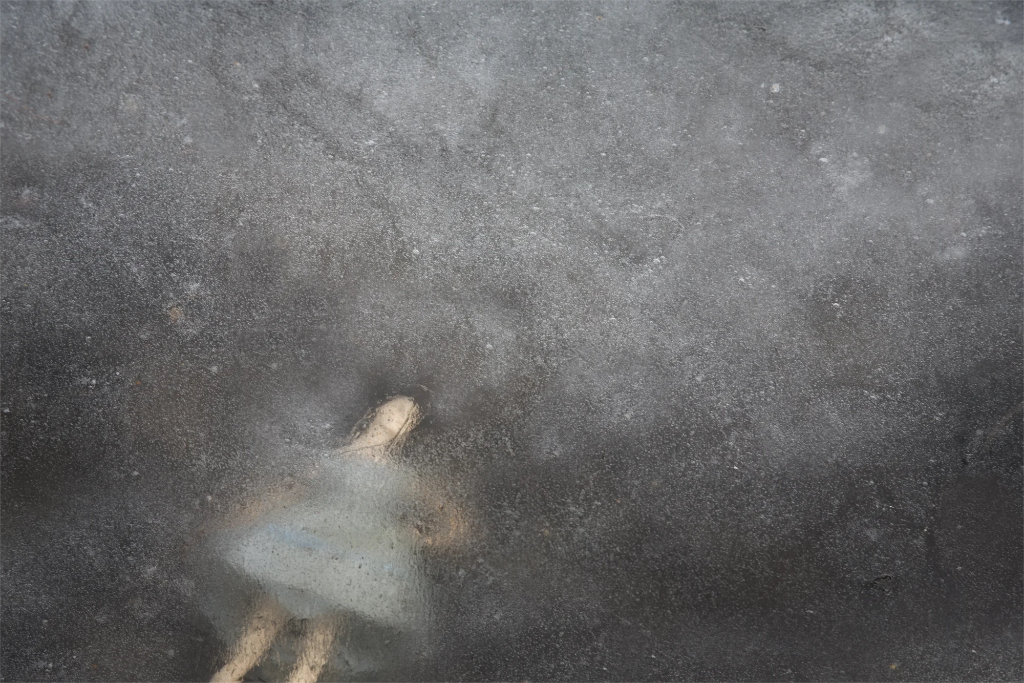 Untitled-1_cr.jpg