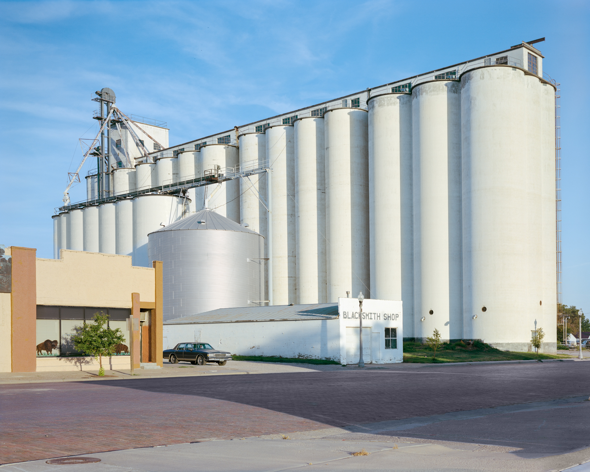 EliseKirk.BuffaloGrainElevator.jpg