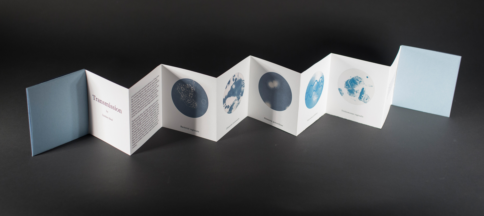 LBealTransmissionArtistBook2.jpg