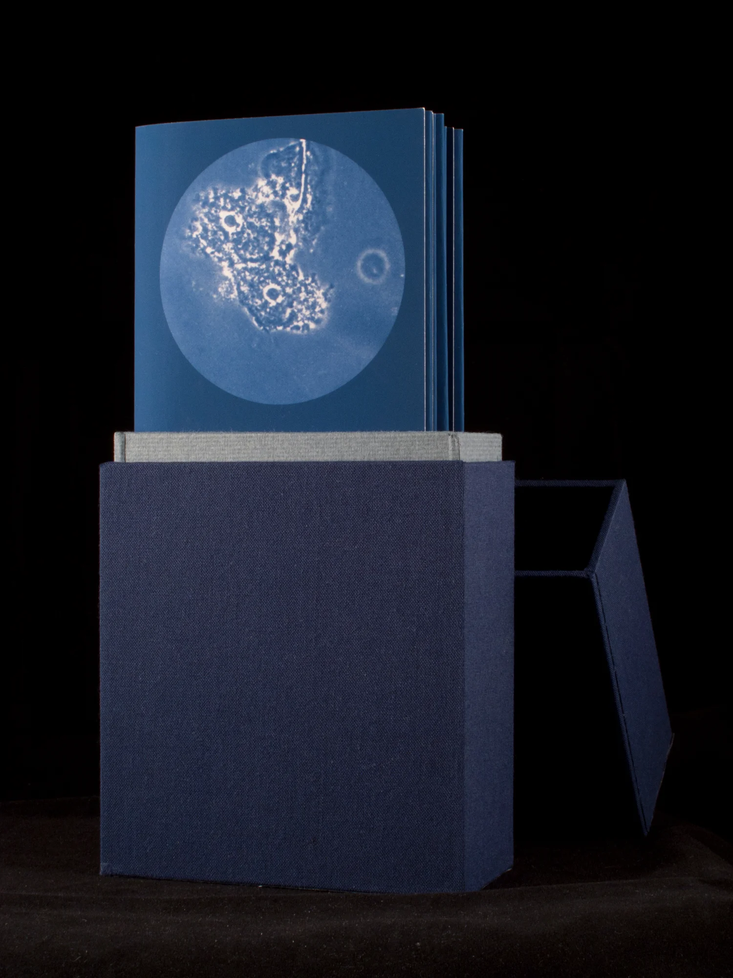 LBealTransmissionArtistBook1.jpg