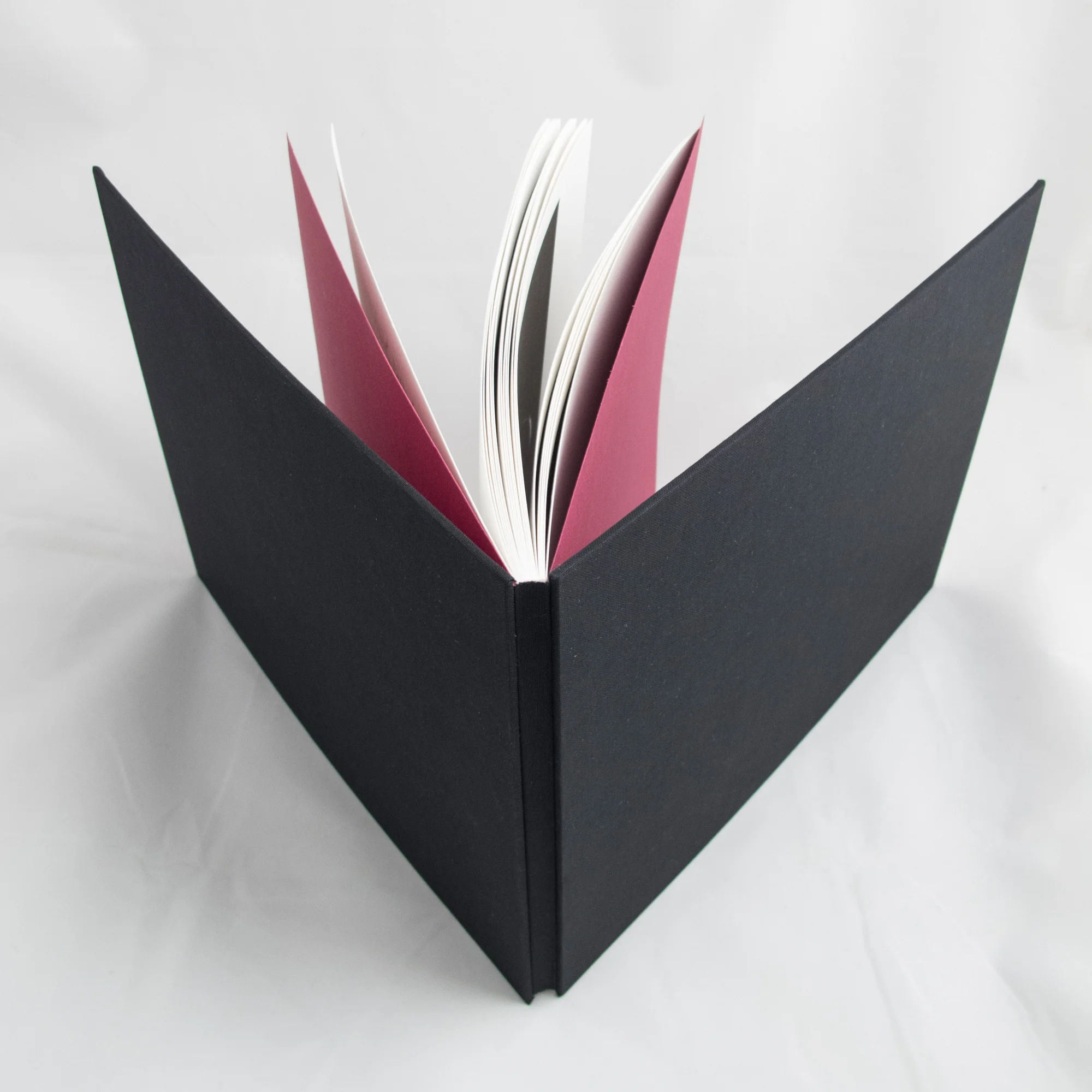 LBealIntimateAppliancesArtistBook1.jpg