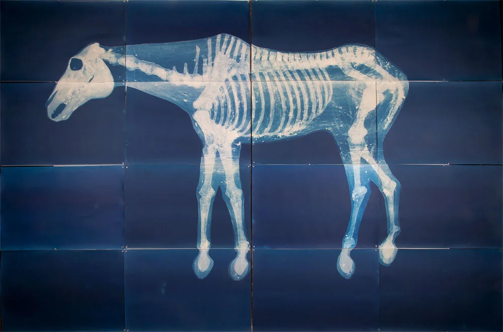 the-horse.jpg