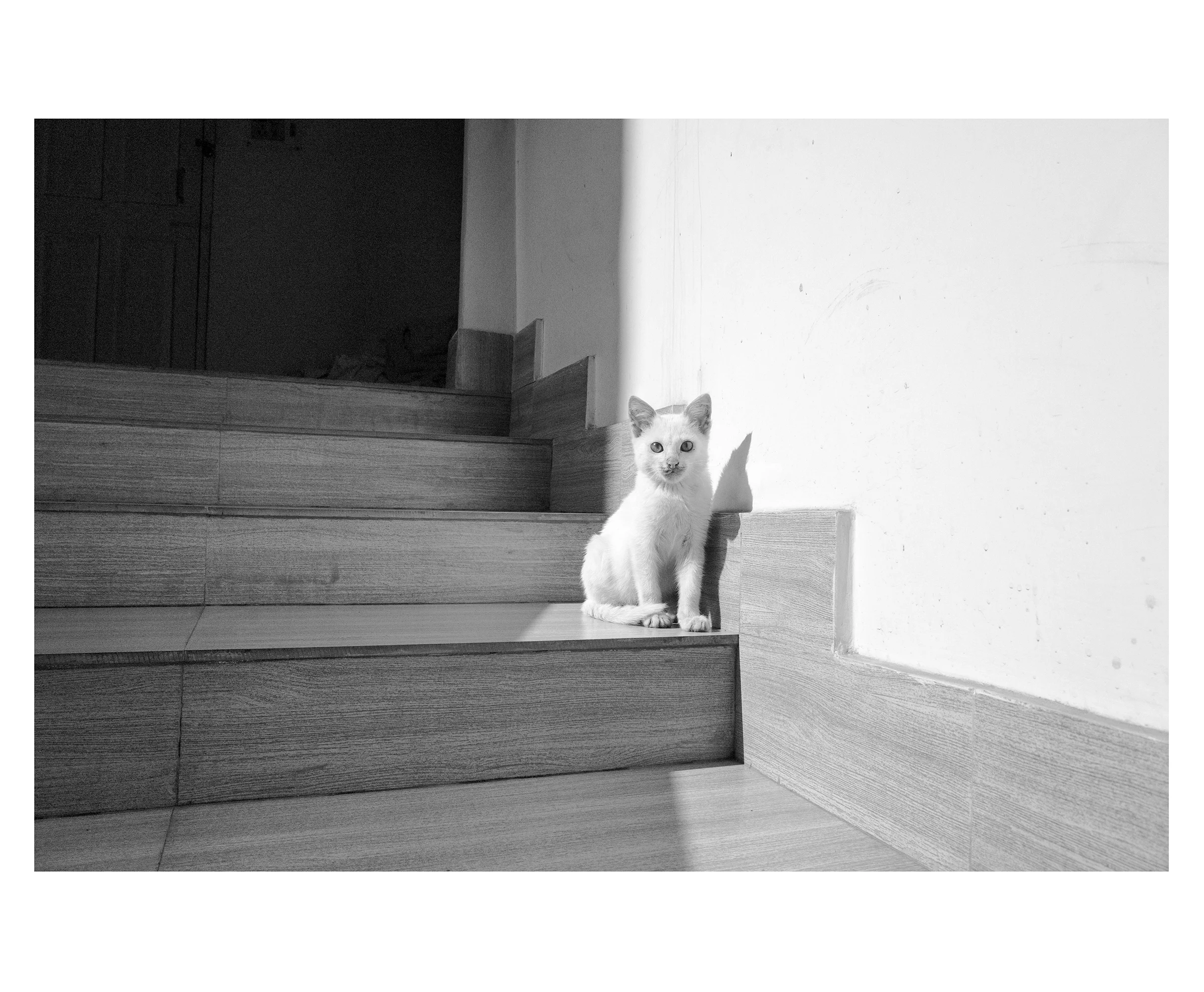 The Hotel 05