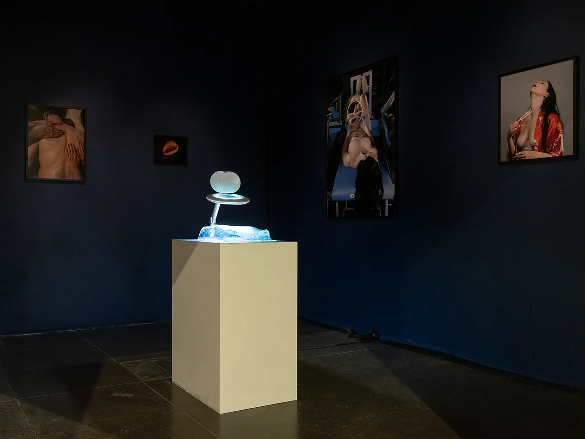 2.Installation Shot 2.jpg