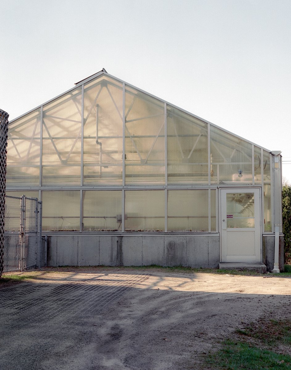 ExteriorGreenhouse.jpg