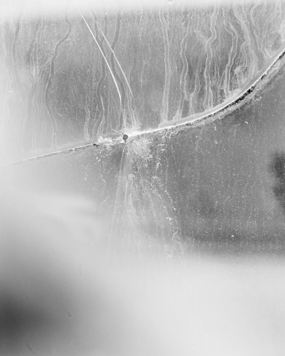 Allie_Bullet Hole.jpg