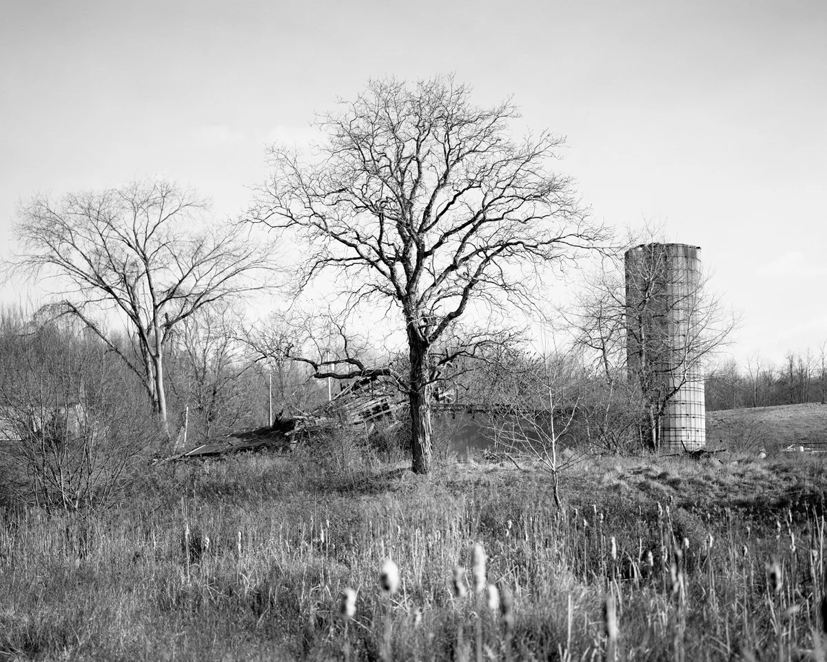 2022_Abbott_Julia_Thesis_Landscape.jpg