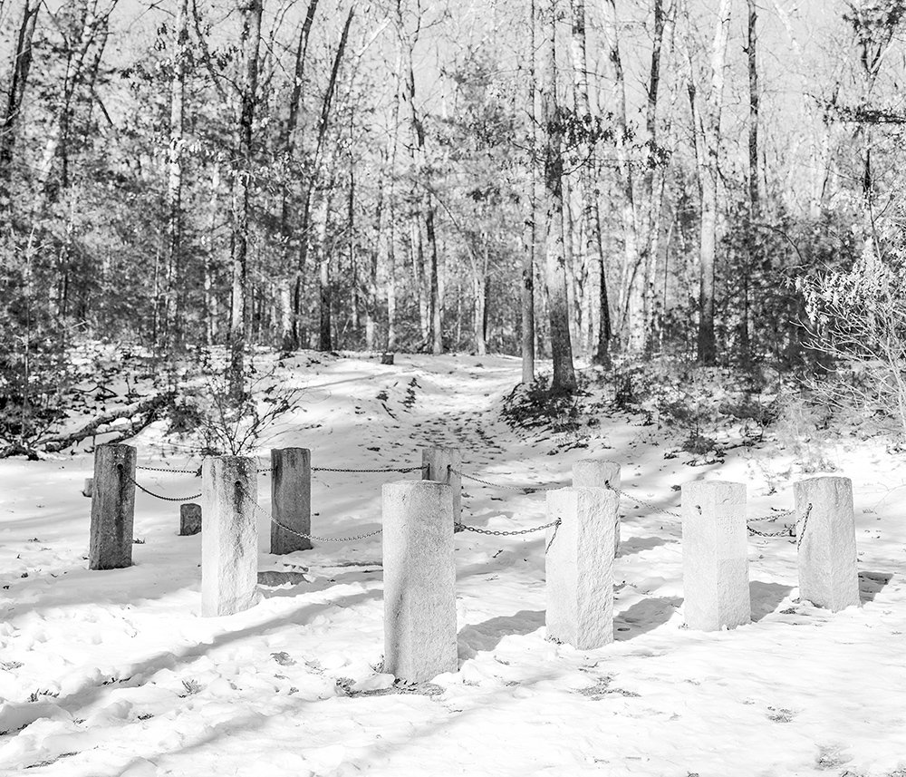 Garden Etiquette #10.jpg